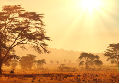 Sunny valley